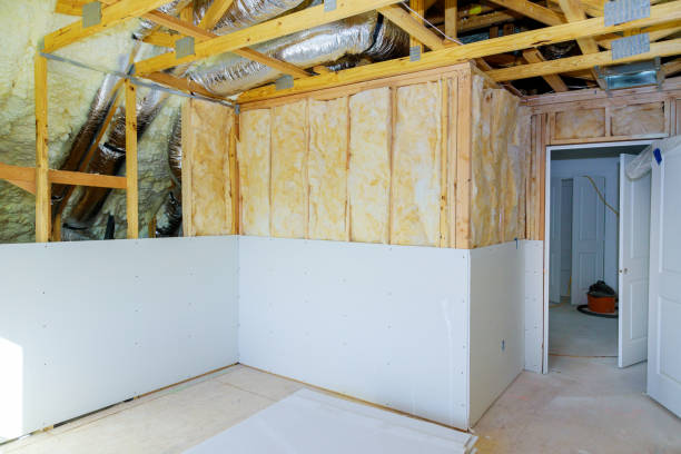 Best Wall Insulation Contractor  in Morrison, IL