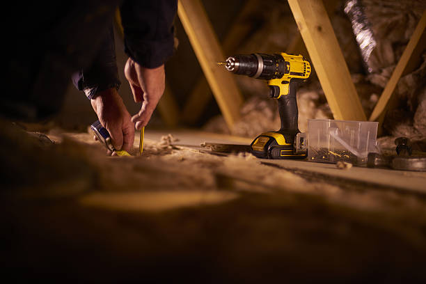 Best Insulation Removal  in Morrison, IL