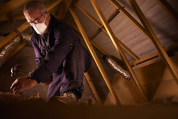 Best Cellulose Insulation  in Morrison, IL